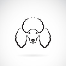 Vector Image Of An Dog Poodle Face On A White Background