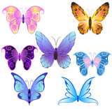 Fototapeta Motyle - Butterflies