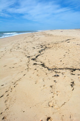 Canvas Print - Ilha Deserta