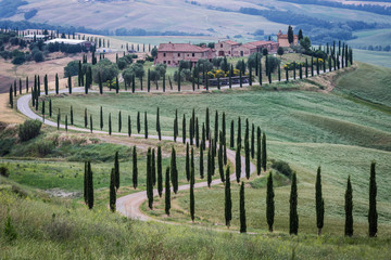 Wall Mural - Tuscany, landscape