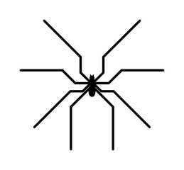 Wall Mural - Black spider insect danger silhouette vector icon. 