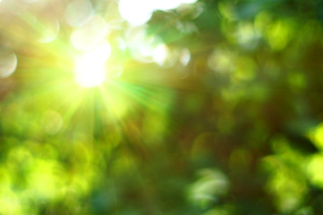 green bokeh