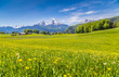 Idyllic landscape in the Alps with blooming meadows and mountain tops