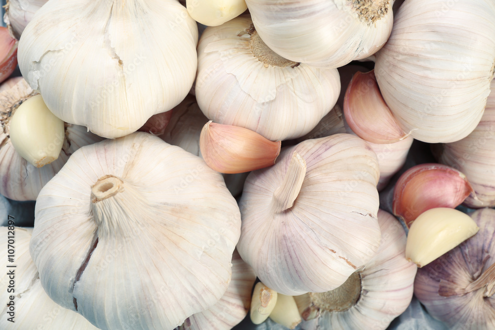 Garlic background