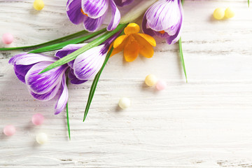 Sticker - Beautiful crocus flowers with beads on wooden background