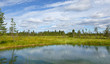 Summer landscape with forest, lake and swamp. Northern Finland, Lapland