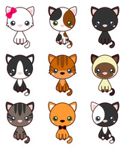 Cat Set, With Black Cat, White Cat, Grey Cat, Grey And White Cat, Brown And Black Act, Brown Cat. Cute Cats Flat Icons. Vector Illustration Cartoon