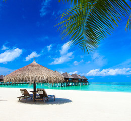 Canvas Print - beach with  Maldives