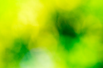 Canvas Print - green bokeh background