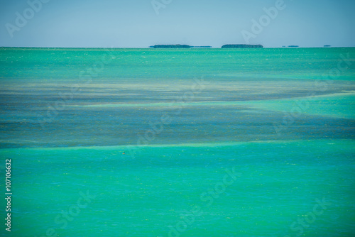 Fotografía Naturaleza tranquila en Cayos de Florida