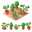 Decorative trees in pot. Isometric icon set. Vector illustration.