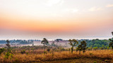 Fototapeta Sawanna - Sunrise in savanah meadow