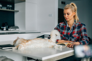 Wall Mural - Girl is reading a book. Her ginger cat I lying on the white tabl