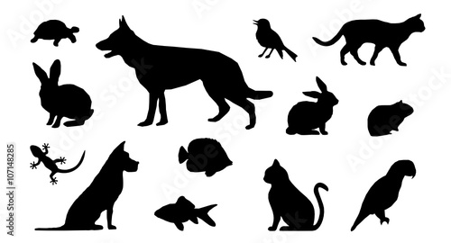 Silhouette Haustiere Hund Katze Vogel Ua Buy This