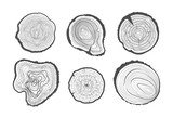 Fototapeta Młodzieżowe - Collection of tree-rings. Vector graphics.