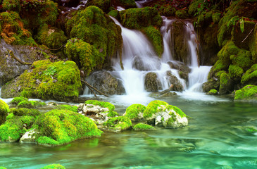 Canvas Print - Mountain stream among the mossy stones