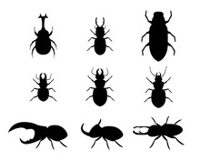 Set Of Stag Beetle In Silhouette Style, Vector