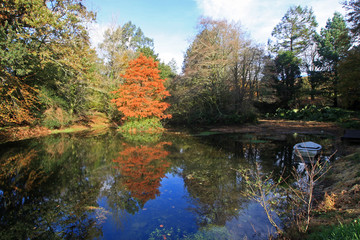 Poster - Lake in Autumn