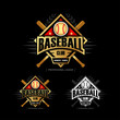 Golden Baseball sport badge logo design template and some elements for logos, badge, banner, emblem, label, insignia, T-shirt screen and printing. Baseball logotype template.