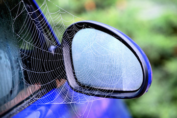 spider web on car mirror