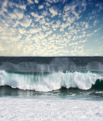 Canvas Print - big sea wave