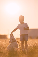 Young Child Boy Training Golden Retriever Puppy Dog In Meadow On Sunny Day