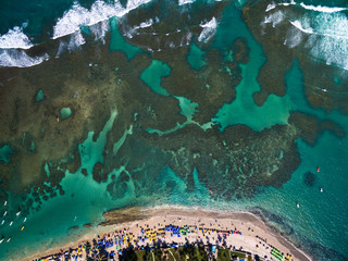 Wall Mural - Top View of Porto de Galinhas, Pernambuco, Brazil