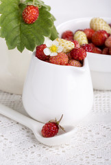 Wall Mural - Fresh red and white small wild strawberries.