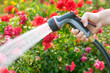 © Mariusz Blach - Watering garden flowers using hose