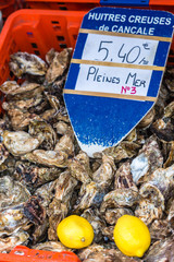 Wall Mural - Oysters market in Cancale, France