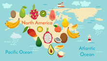 Fruit World Map, North America. Vector Illustration, Preschool, Baby, Continents, Oceans, Drawn, Earth.