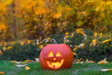 Halloween Pumpkin On The Autumn Garden