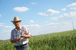 © Zoran Zeremski - Senior farmer in a field examining wheat crop.