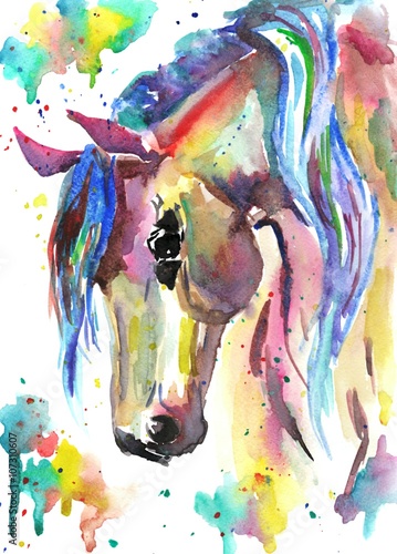 portret-z-kolorowym-koniem