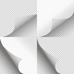 Pages curl set stylish illustration vector design