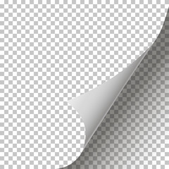 Wall Mural - Curled Page Corner isolated background stylish design