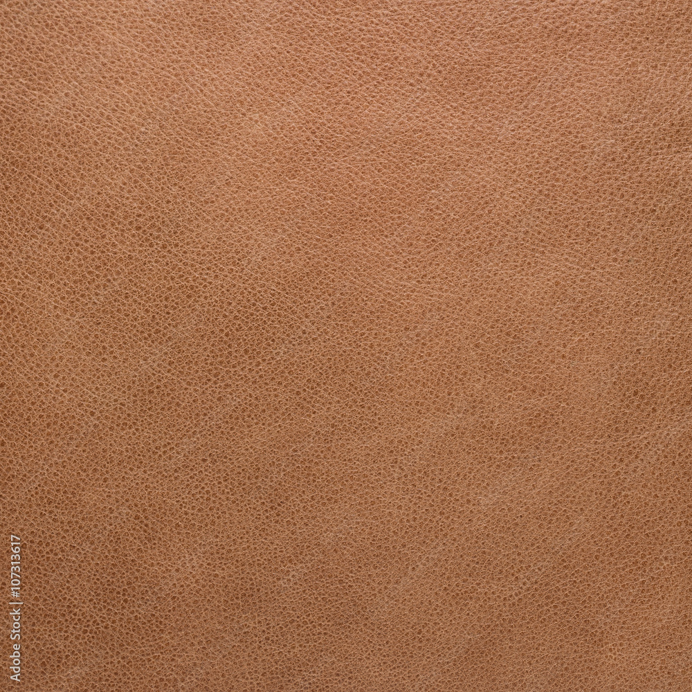 leather texture - obrazy, fototapety, plakaty 