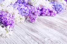 Lilac Flower Wood Background, Blooms Pink Color Flowers