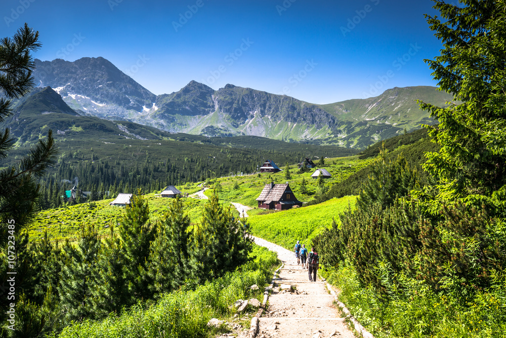 Obraz na płótnie View of Tatra Mountains from hiking trail. Poland. Europe. w salonie