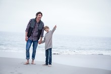 Son Pointing While Standing With Father At Sea Shore 