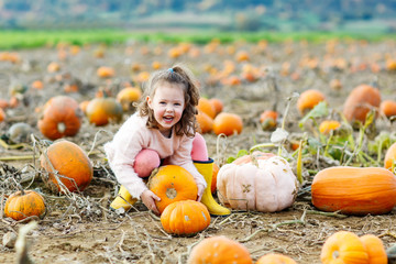 Little kid girl with lot of pumpkins on field