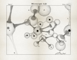 molecule,atoms, cells microbiology concept. 3d illustration.