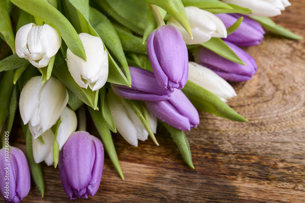 bouquet of white and purple tulips on wood - obrazy, fototapety, plakaty 