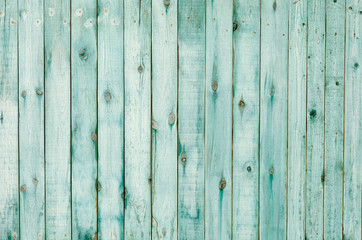 Old shabby wood texture background green 