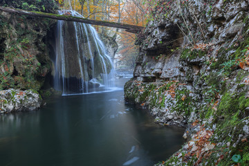 Wall Mural - Bigar Cascade Falls in Nera Beusnita Gorges National Park, Romania