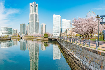 Sticker - Spring in Yokohama, Japan. Yokohama is the third biggest city in Japan. 