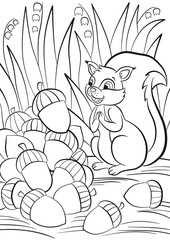 Wall Mural - Coloring page. Little cute squirrel stands and looks at a pile of acorns. The squirrel is surprised and happy.