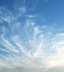 Wall Mural - blue sky