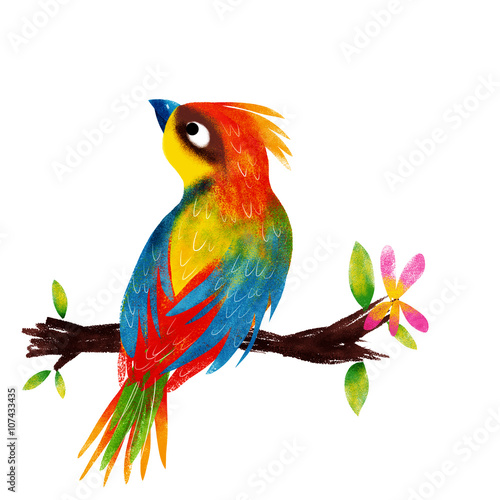 Oiseau De Paradis Buy This Stock Illustration And Explore