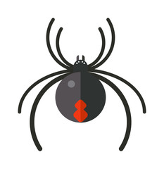 Wall Mural - Flat spider insect danger silhouette vector icon illustration